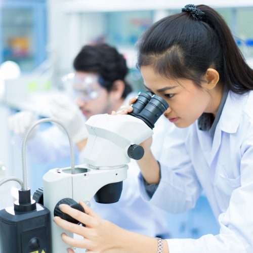 Group,Of,Scientists,Working,At,The,Laboratory,.she,Use,Microscope